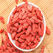 2019 new organic goji berries wholesale